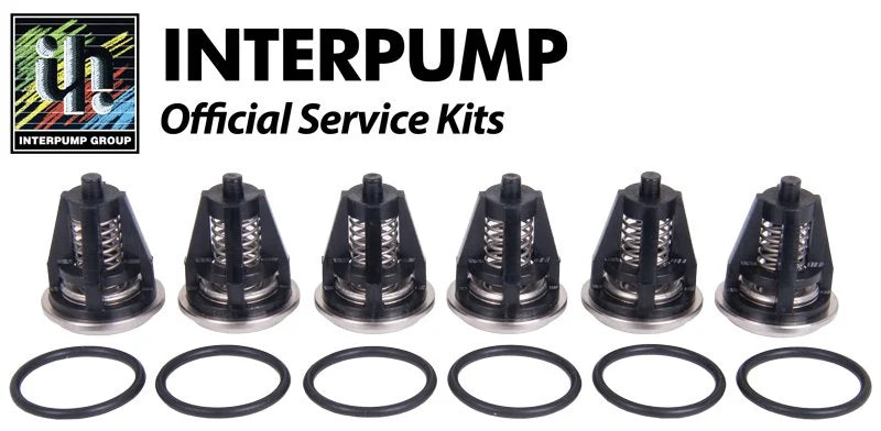 Interpump Kit 62 Suction Delivery / Valves - Rutland Pumps Limited