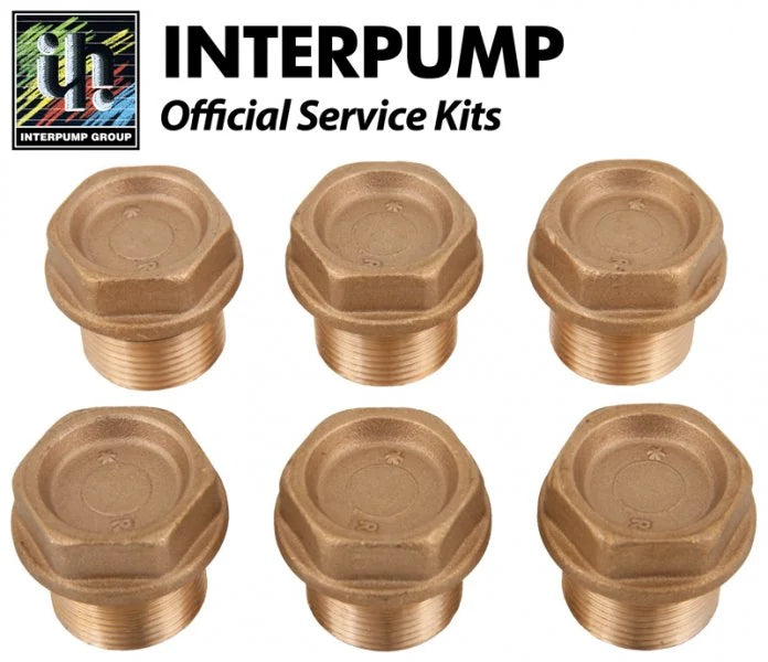 Interpump Kit 124 Valve Caps with O Rings