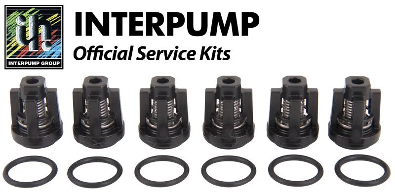 Interpump Kit 134 Suction Delivery / Valves