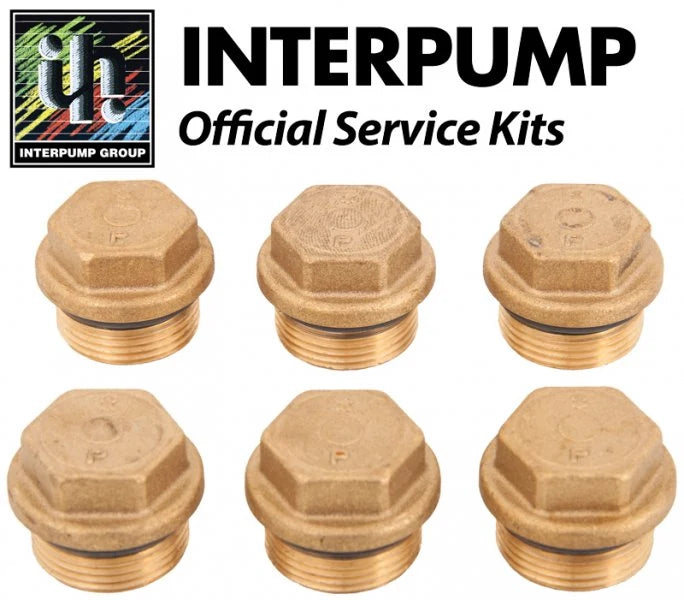 Interpump Kit 157 Valve Caps with O Rings