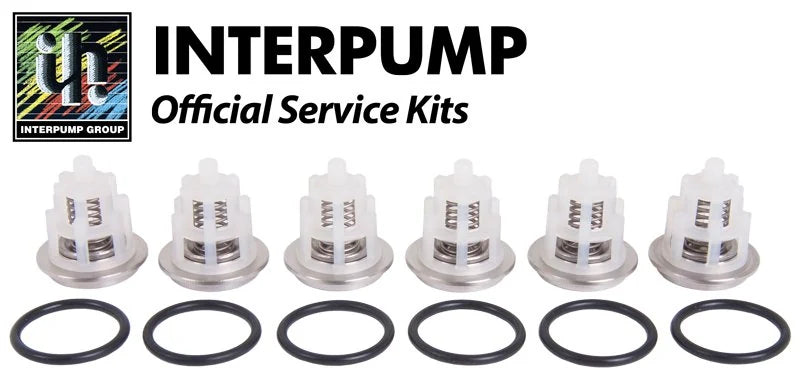 Interpump Kit 169 Suction Delivery Valves