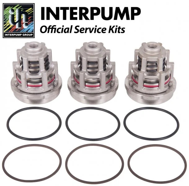 Interpump Kit 2013 Delivery Valves