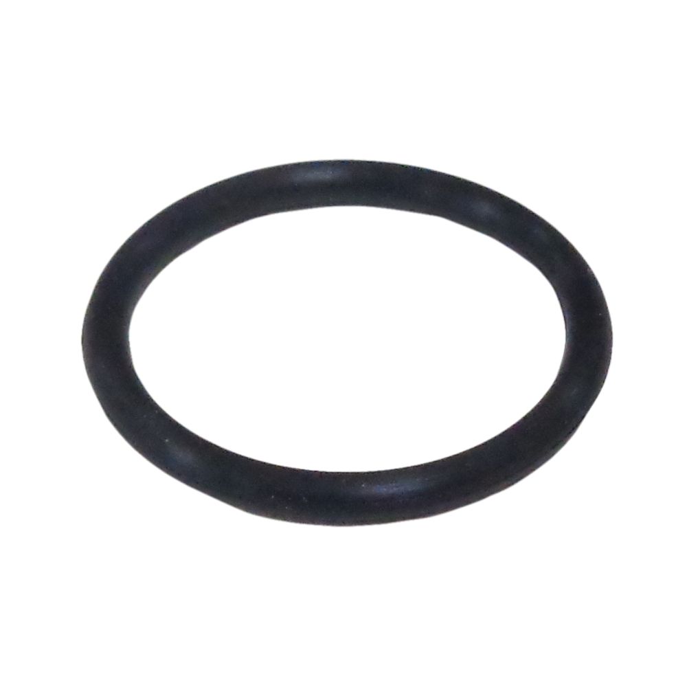 Yanmar L100 Fuel Filters O Ring