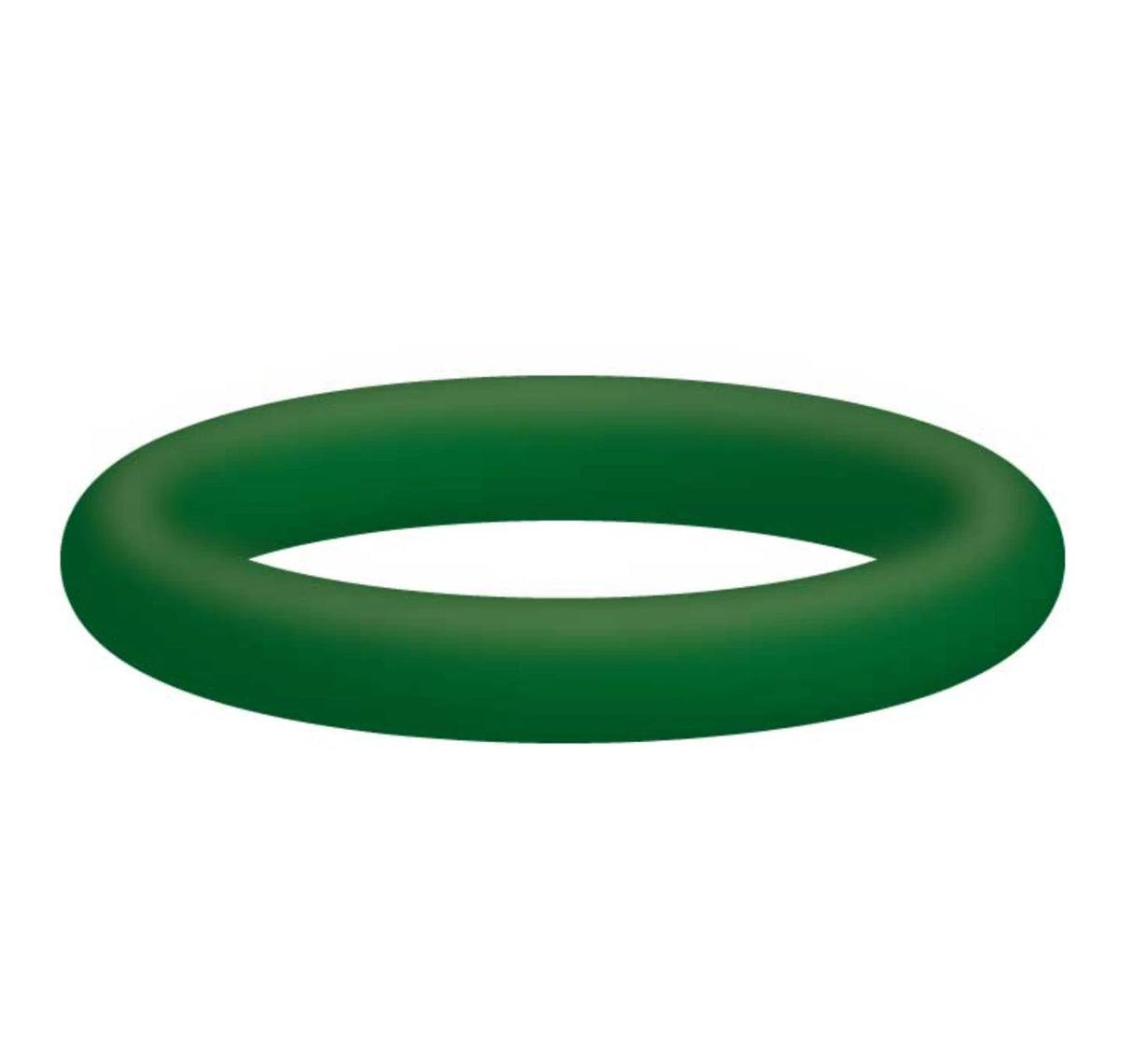 M22 O-Ring Viton 10 x 2mm