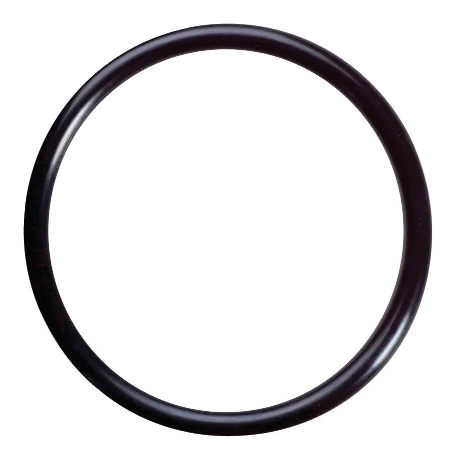 Magjet O ring 12 x 1mm