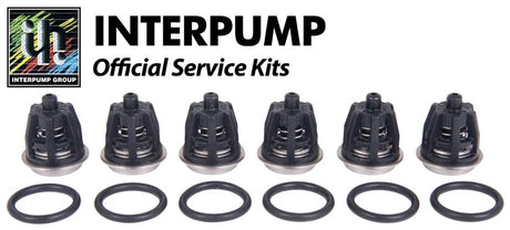 Interpump KIT1 suction and delivery valve kit with six valves and O-rings, pressure washer parts