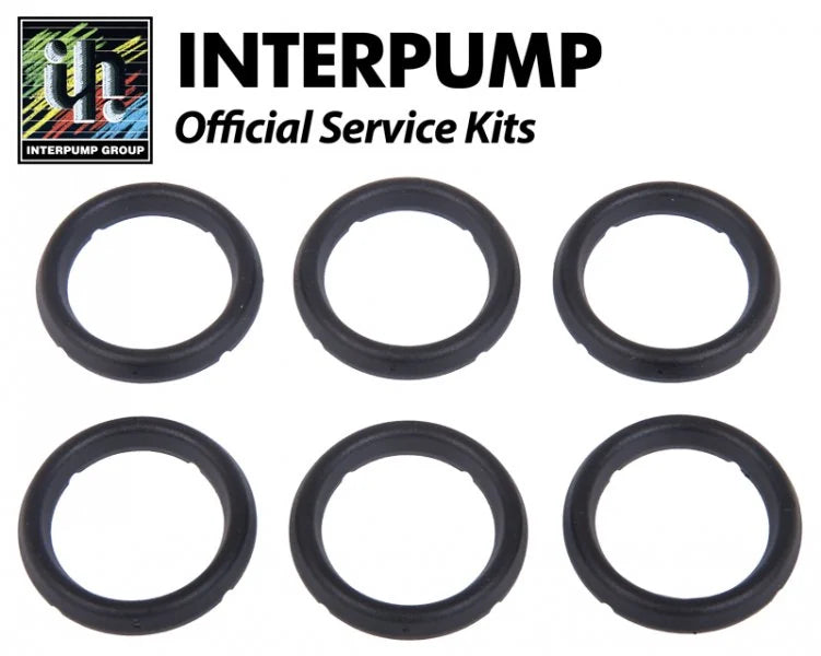 Interpump KIT7 head rings set of six, official service kit for pressure washers