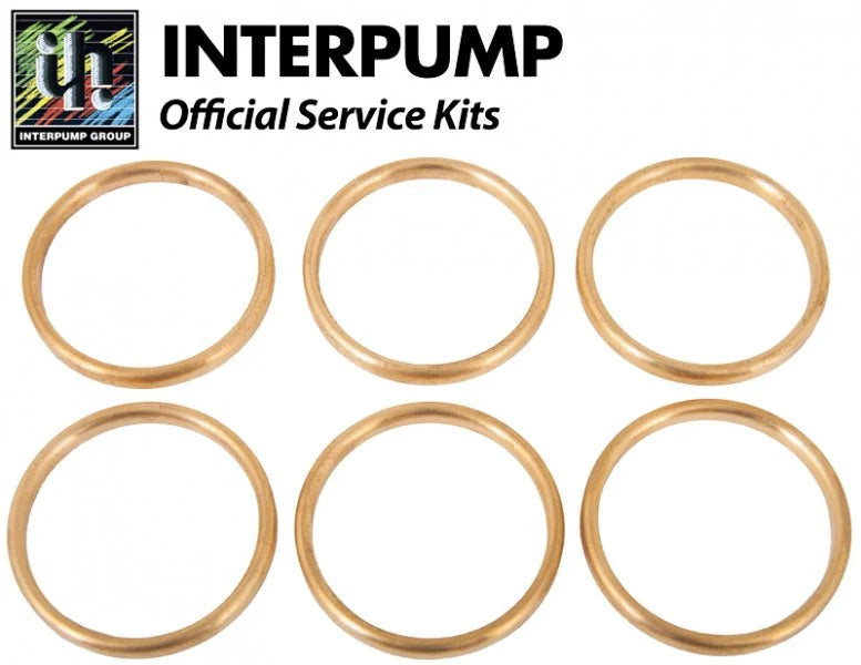 Interpump Kit 41 Head Rings 36mm - Rutland Pumps Limited