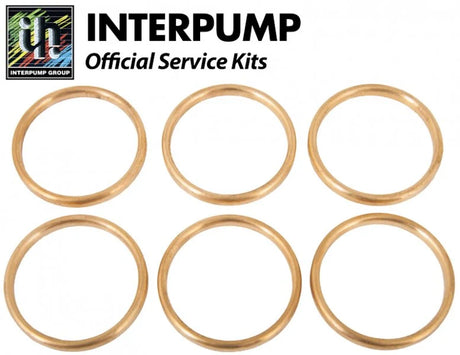 Interpump Kit 41 Head Rings 36mm - Rutland Pumps Limited