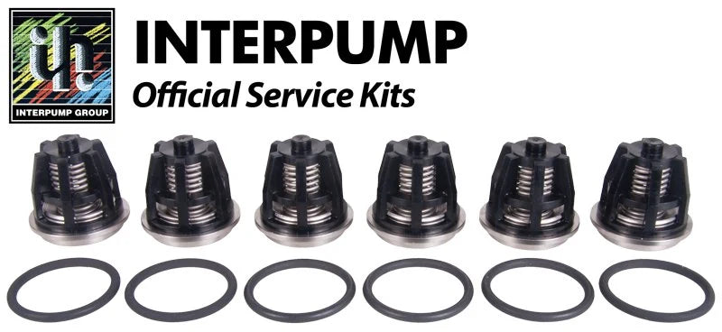 Interpump Kit 43 Suction Delivery Valves - Rutland Pumps Limited