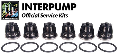 Interpump Kit 43 Suction Delivery Valves - Rutland Pumps Limited