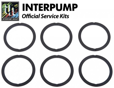 Interpump Kit 48 Head Rings 45mm - Rutland Pumps Limited