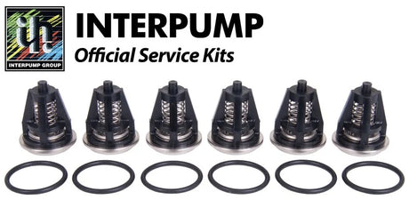 Interpump Kit 62 Suction Delivery / Valves - Rutland Pumps Limited