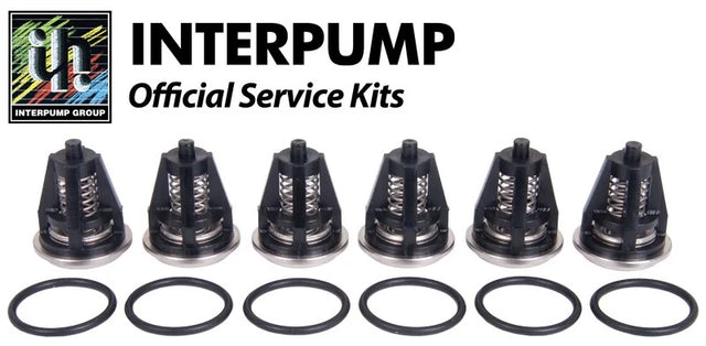 Interpump Kit 62 Suction Delivery / Valves - Rutland Pumps Limited