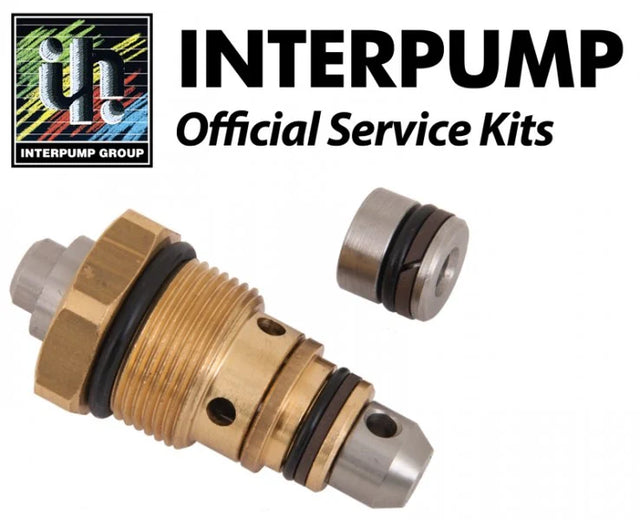 Interpump Kit 98 W1 Maintenance Kit - Rutland Pumps Limited