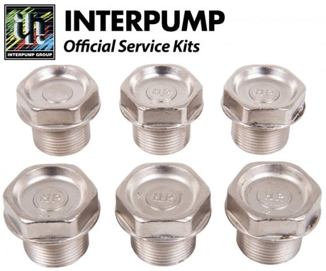 Interpump Kit 106 Valve Caps with O Rings - Rutland Pumps Limited