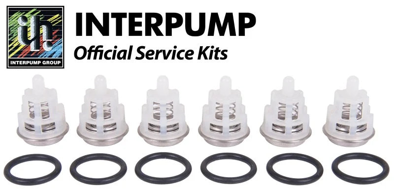Interpump Kit 123 Suction Delivery / Valves