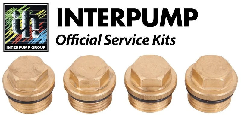 Interpump Kit 133 Valve Caps & O Rings