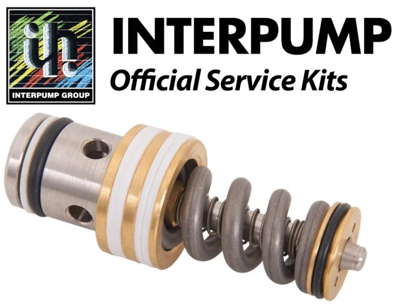 Interpump Kit 168 K1 Valve Internals Set