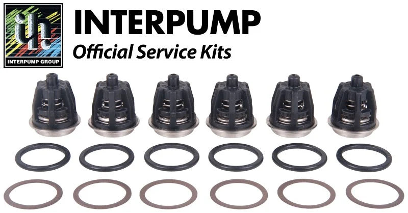 Interpump Kit 201 Suction Delivery / Valves Max 85 Degrees