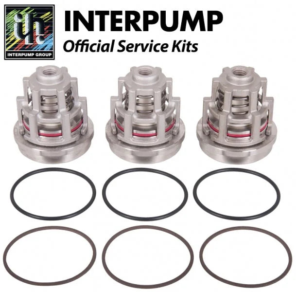 Interpump Kit 2012 Suction Valves