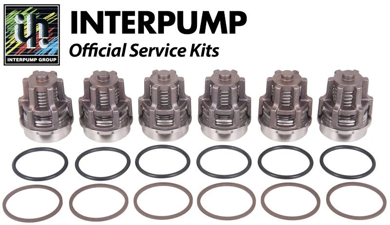 Interpump Kit 2030 Suction / Delivery Valve