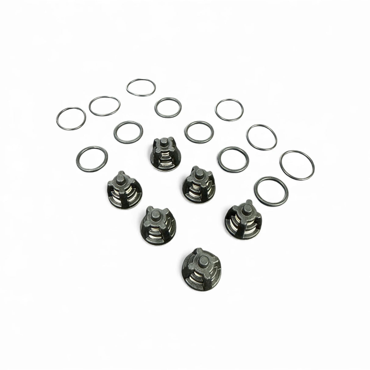 Mazzoni PM Series High Pressure Pump Valve Kit