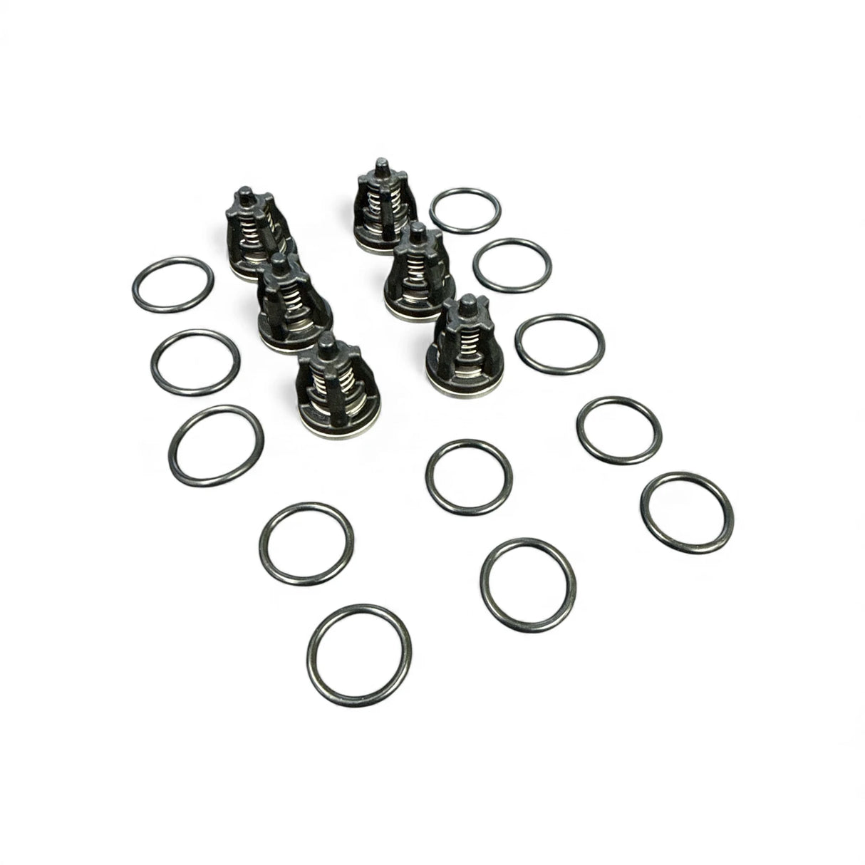 Mazzoni MM Series High Pressure Pump Valve Kit