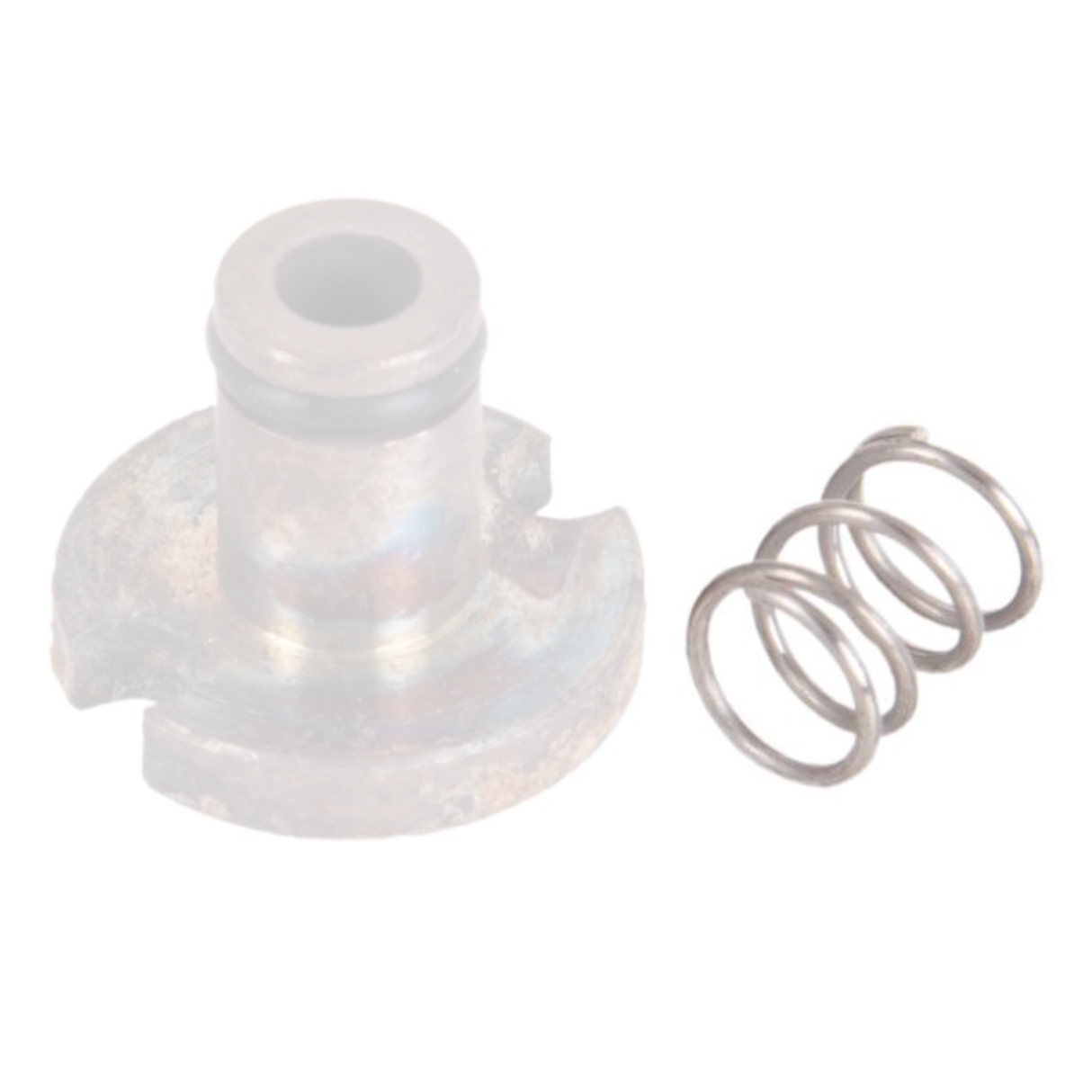 Whirlaway Inlet Valve Spring