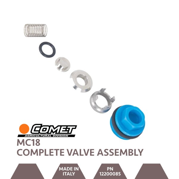 Comet MC18 Suction/Delivery Valve Kit